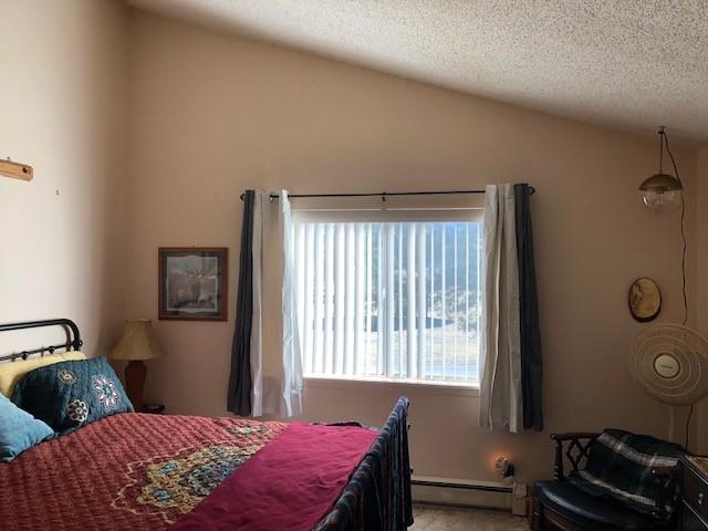 bedroom with a textured ceiling, light carpet, baseboard heating, and vaulted ceiling