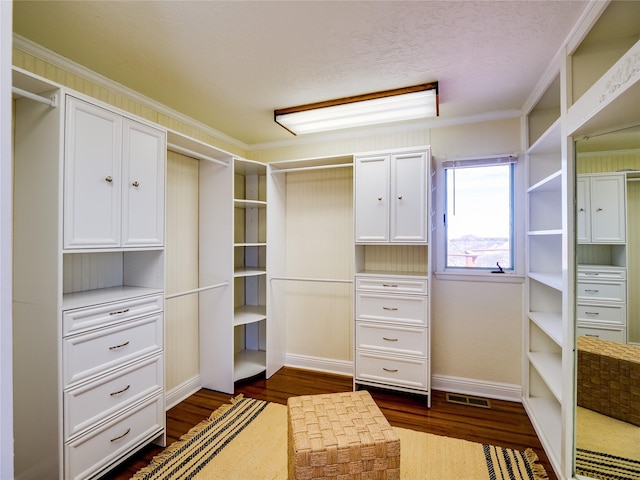 walk in closet with visible vents and dark wood finished floors