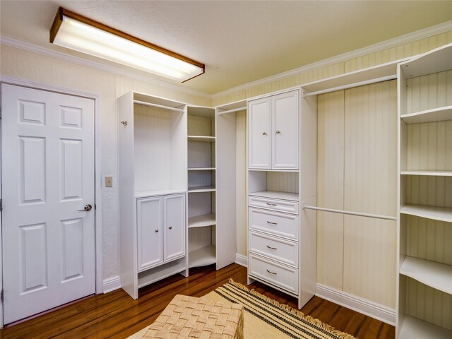 walk in closet with dark wood-style floors