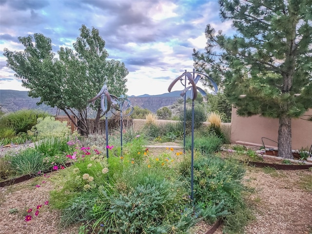 view of yard featuring a mountain view