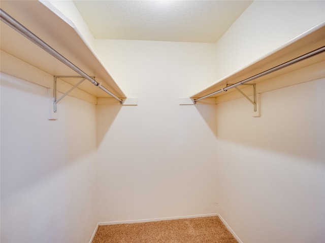 spacious closet featuring light colored carpet