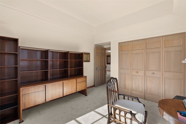 3101 Old Pecos Trl Unit 219, Santa Fe, NM 87505 - office with light colored carpet