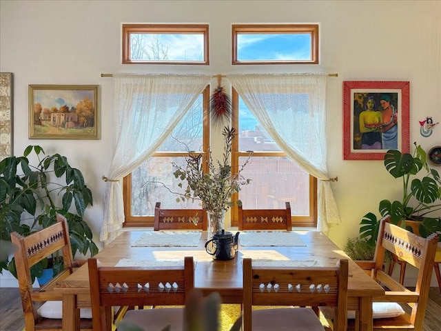 dining area featuring a wealth of natural light