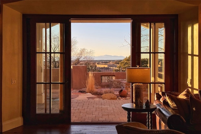 doorway featuring wood finished floors and a mountain view