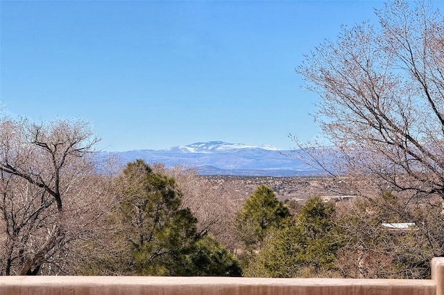 view of mountain feature