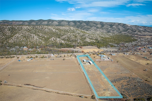 birds eye view of property featuring a mountain view