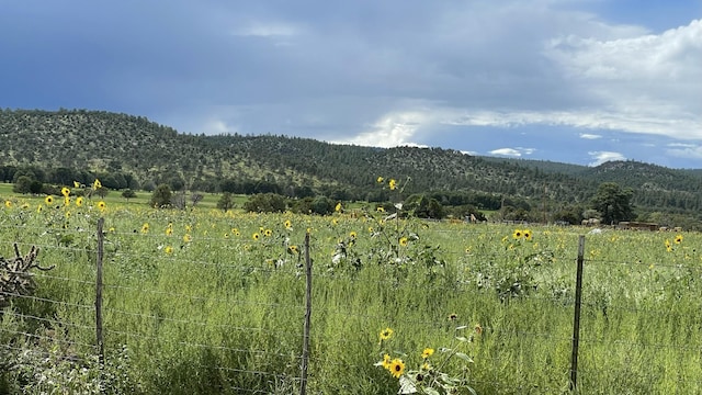 mountain view with a rural view