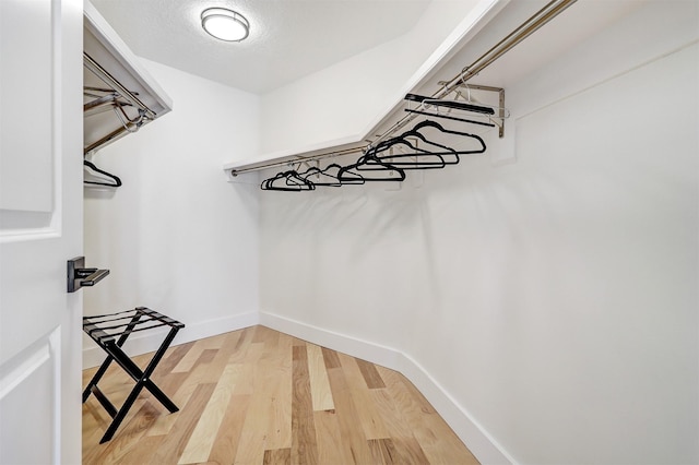 walk in closet featuring light wood-type flooring