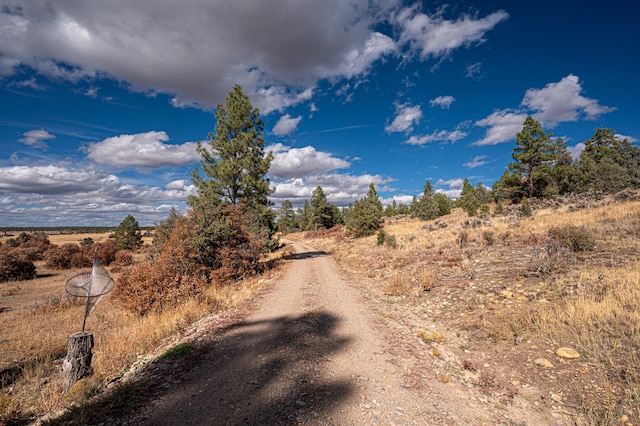 view of road