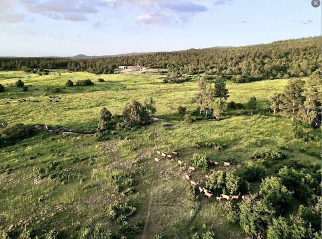 view of nature with a rural view and a wooded view