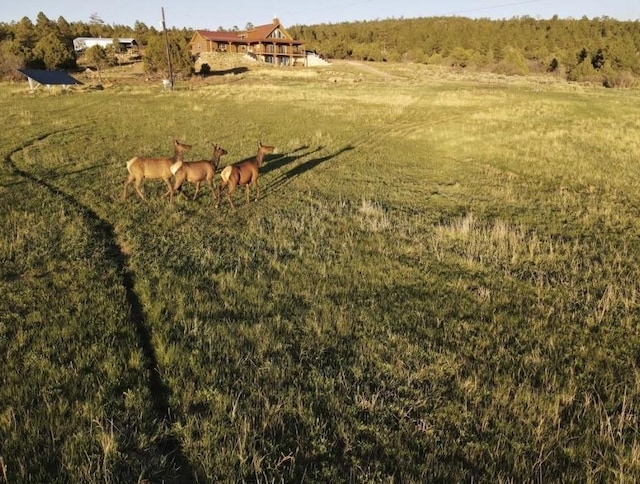 view of yard with a rural view