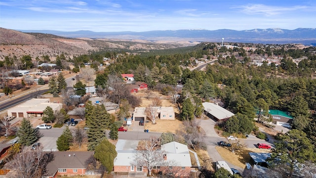 birds eye view of property featuring a mountain view