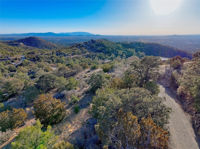 birds eye view of property with a forest view and a mountain view