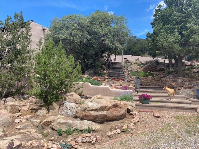 view of yard featuring stairs