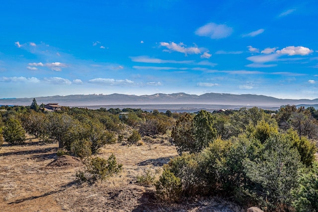 property view of mountains with a forest view