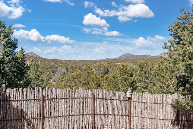 mountain view with a forest view