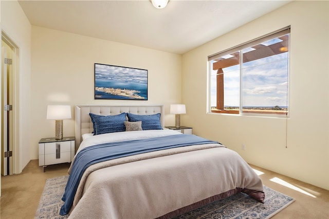 9 E Saddleback Mesa, Santa Fe, NM 87508 - bedroom with carpet floors
