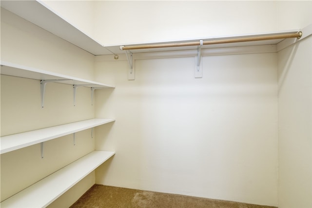 9 E Saddleback Mesa, Santa Fe, NM 87508 - walk in closet with carpet floors