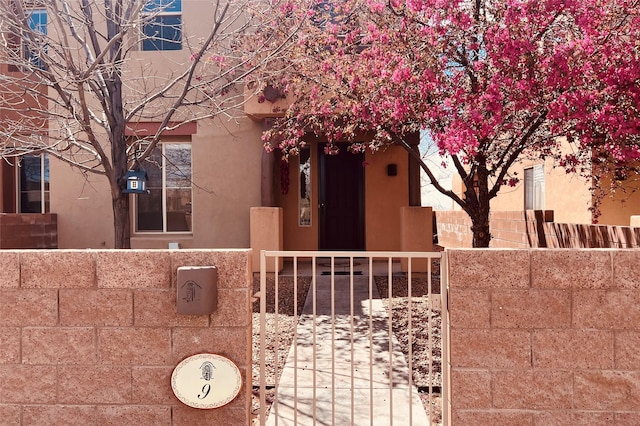9 E Saddleback Mesa, Santa Fe, NM 87508 - view of front of house featuring a fenced front yard, stucco siding, and a gate
