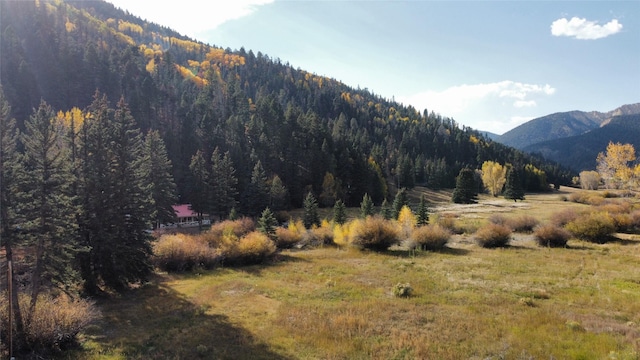 property view of mountains featuring a forest view