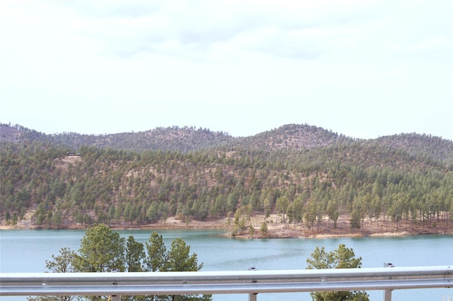 property view of water featuring a mountain view and a view of trees