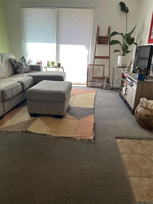 941 Calle Mejia Unit 319, Santa Fe, NM 87501 - living area with carpet