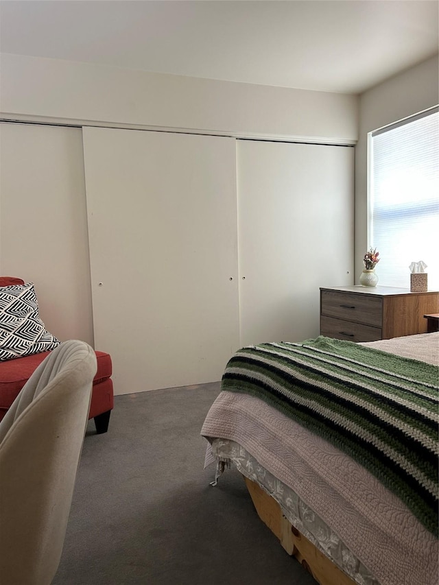 941 Calle Mejia Unit 319, Santa Fe, NM 87501 - carpeted bedroom featuring a closet