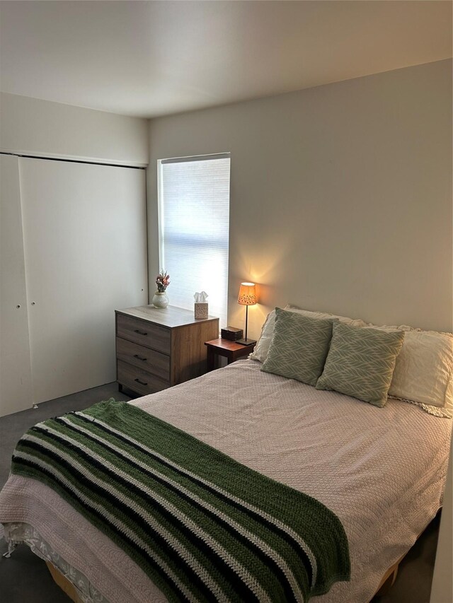 941 Calle Mejia Unit 319, Santa Fe, NM 87501 - bedroom featuring a closet and carpet
