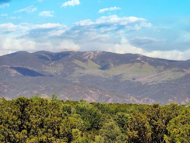 24 Paintbrush Cir, Santa Fe, NM 87506 - view of mountain background featuring a heavily wooded area