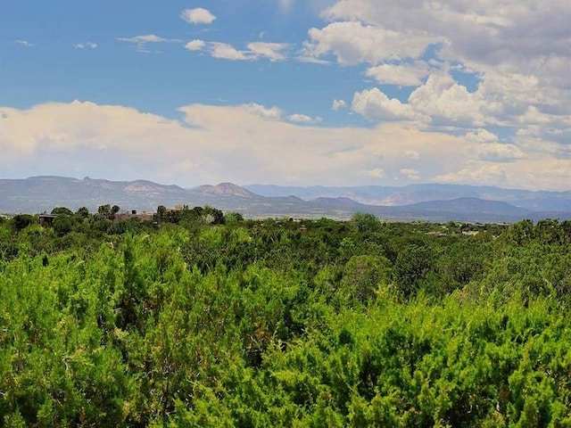 24 Paintbrush Cir, Santa Fe, NM 87506 - view of mountain background