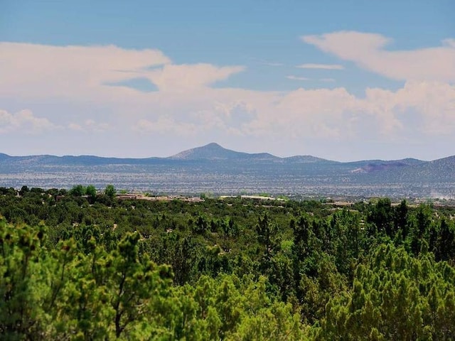 24 Paintbrush Cir, Santa Fe, NM 87506 - view of mountain background featuring a forest