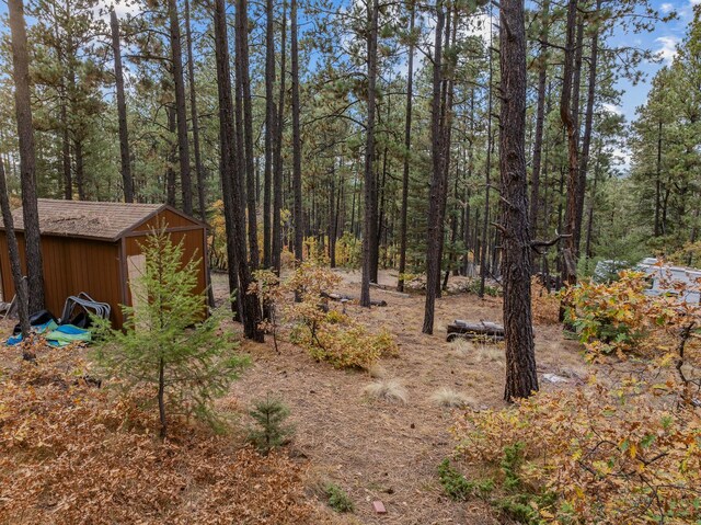 view of yard with a wooded view, an outbuilding, and a storage unit