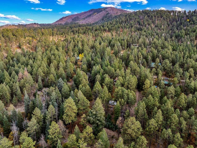 birds eye view of property featuring a forest view and a mountain view