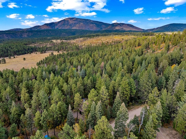mountain view with a forest view