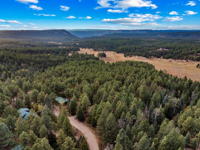 bird's eye view with a view of trees and a mountain view