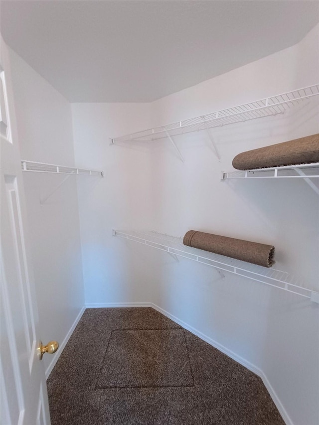 spacious closet with carpet flooring