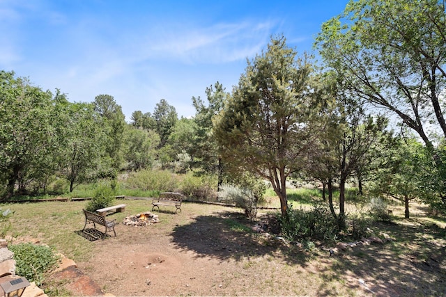 view of yard with a fire pit