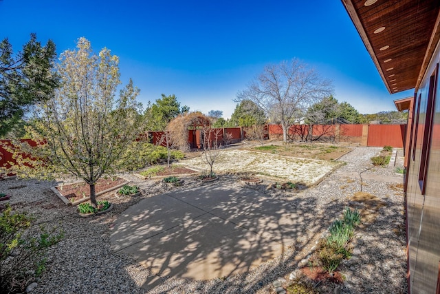 view of yard featuring a patio area and a fenced backyard