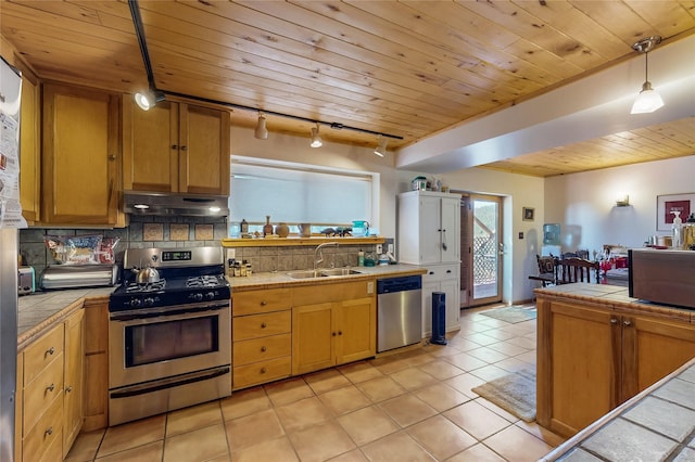 387 County Road B64, Pecos, NM 87552 - kitchen featuring stainless steel appliances, a sink, under cabinet range hood, rail lighting, and tile counters