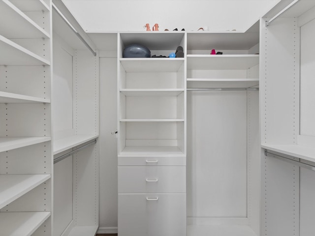 view of spacious closet