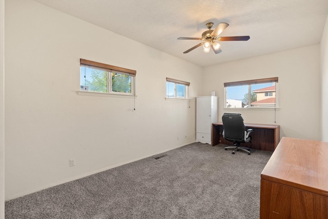 10335 Dunbar St NW, Albuquerque, NM 87114 - office space with carpet, visible vents, a ceiling fan, and baseboards
