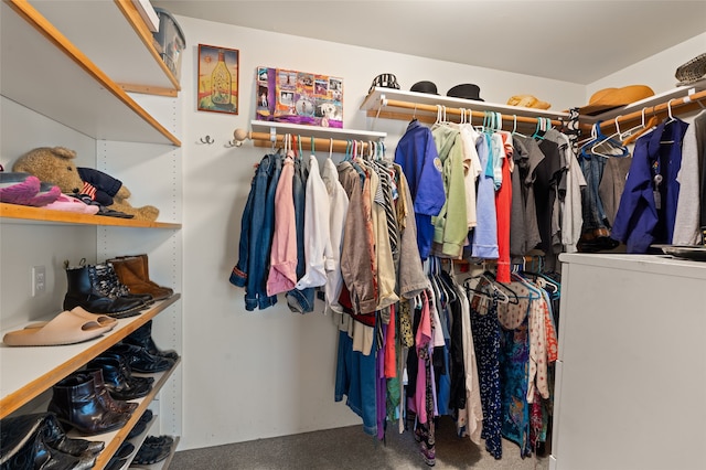 view of spacious closet