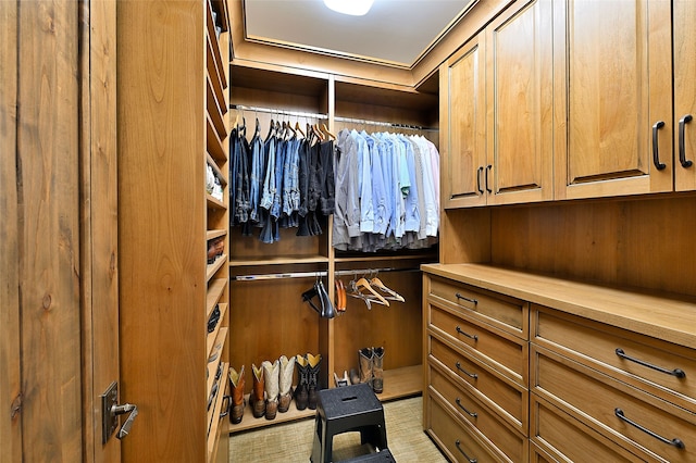 view of walk in closet