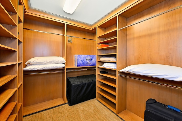walk in closet featuring carpet
