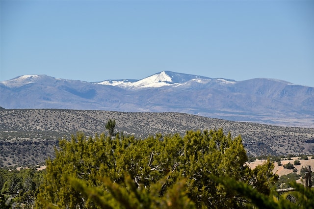 view of mountain feature