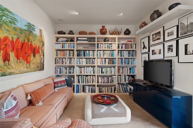 view of living area