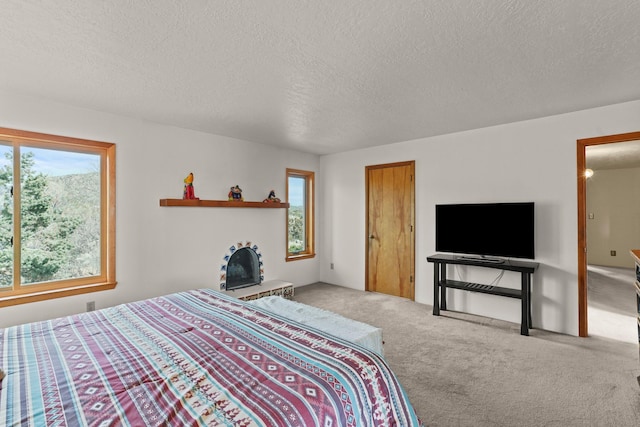 11 Sierra Lejana, Santa Fe, NM 87508 - bedroom featuring carpet floors and a textured ceiling