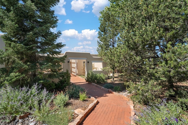view of front of house featuring stucco siding