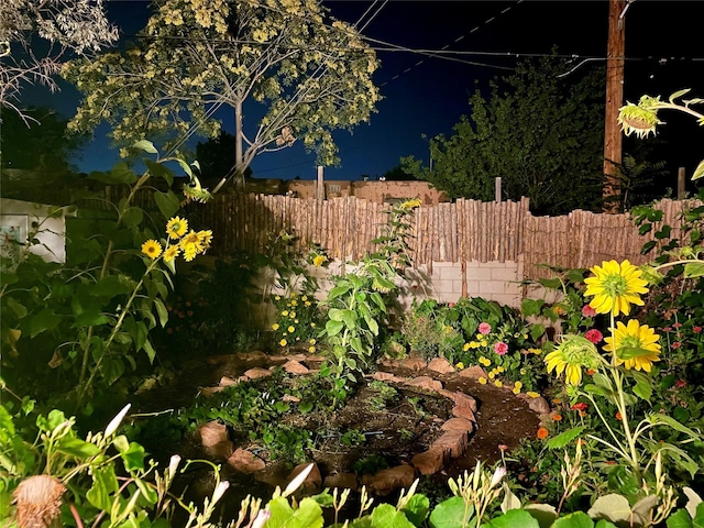 yard at twilight with fence