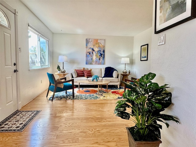living room featuring light wood-style floors